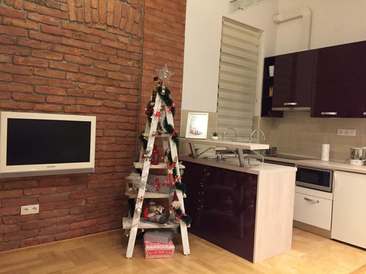 Clyra Apartment City Centar Zágráb Kültér fotó